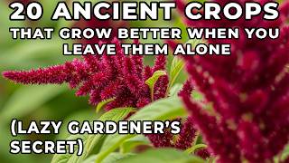 20 Ancient Crops That Grow Better When You Leave Them Alone (Lazy Gardener’s Secret)