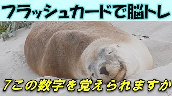 数字記憶 Youtube 数字記憶 Youtube
