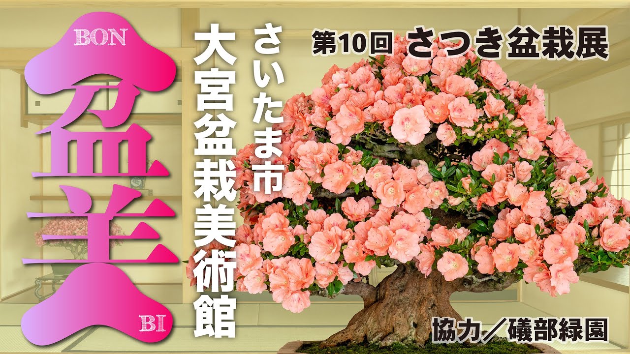 海外輸入 インボイス Saitama City “Satsuki Presents Museum Art Bonsai Omiya アート・デザイン・音楽