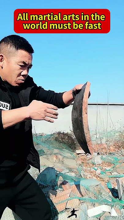 Kung fu master Kung Fu show, the world martial arts only fast can not break #kungfu