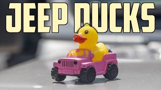 Jeep Wave & Jeep Ducks - What Are They?
