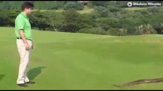 WTF! Massive snake slithers across Zimbali golf course
