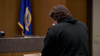 Family members deliver tearful statements in fatal hit-and-run sentencing