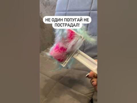ролик #новое #распаковки #валберис #wildberries #уют #длядома - YouTube
