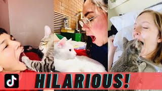 "Open Your Mouth and See What Your Cat Does" Compilation | NEW TIKTOK CHALLENGE