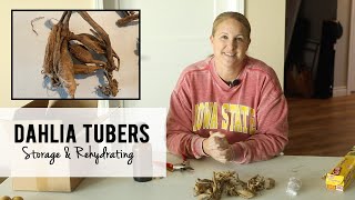 Dahlia Tuber Update!  Rejuvenating Dry Tubers & Winter Storage, Zone 5a Flower Farming screenshot 3