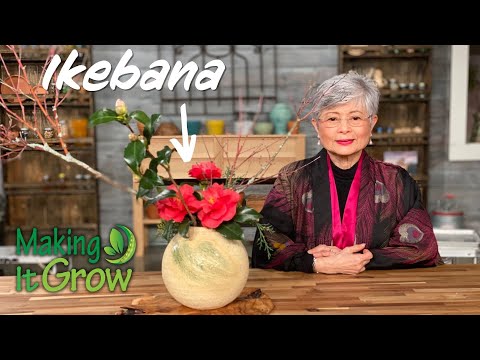 Video: Informacije o ikebani: Gojenje rastlin za aranžiranje cvetja Ikebana