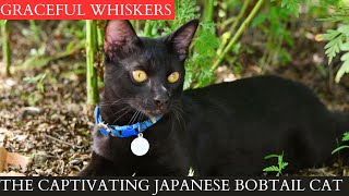 Graceful Whiskers: The Captivating Japanese Bobtail Cat Full Detailed||4K|