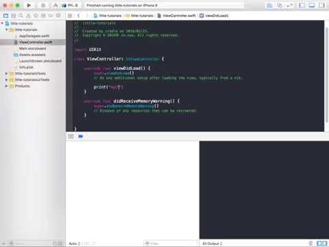 [iOS] print to console