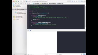 Celebrity [iOS] print to console Net Worth
