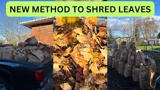 How I am going to process all these leaves for composting!!! Shockingly cheap leaf shredding!!