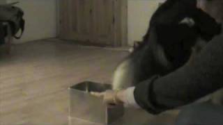 Bagpartstræning Del 3