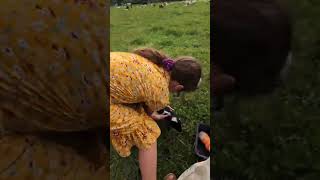 Walking with the sheep