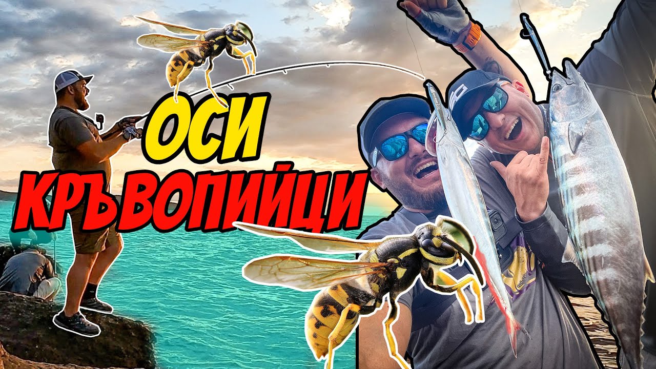 НАПАДАТ НИ ОСИ СЛЕД ВСЯКА ХВАНАТА РИБА. РИБОЛОВ НА ПАЛАМУД И ТУНАКИ