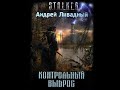 S.T.A.L.K.E.R. Контрольный выброс (аудиокнига) Андрей Ливадный