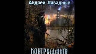 S.T.A.L.K.E.R. Контрольный выброс (аудиокнига) Андрей Ливадный