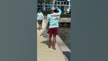 Patience Yields Fisherman Full Cast Net!