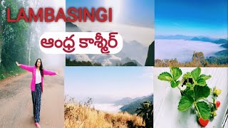 Lambasingi || AP best tourist place || Andhra Kashmir || strawberry farmvlogఆంధ్ర ఊటీ