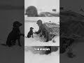 Nadir Fotoğraflar Part 10
