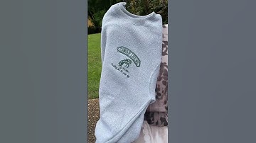 Last video about taylor swift’s summer merch collection, it’s dreamy, it’s perfect, and it reminds