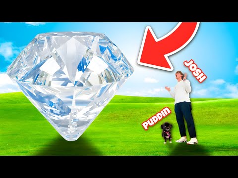 PUDDIN FOUND THE WORLDS BIGGEST DIAMOND
