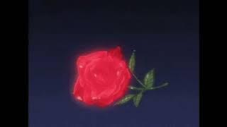 Saleka - Release (Slowed)