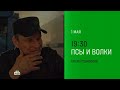 Анонс, Псы и Волки, 1 сезон, Премьера с 1 Мая в 19:30 на НТВ, 2026