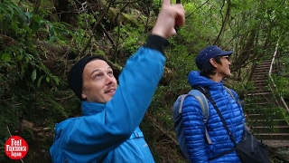 Yakushima in Kagoshima Prefecture, Japan  Relaxation for body, mind and soul