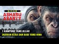 Kisah 1 Kampung yang Allah Hinakan dan di Kutuk Hingga menjadi Kera dan Babi