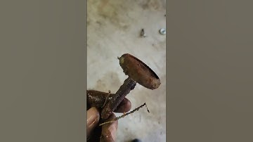 They had to be replaced #garagedoor #maintenance #repair #new #shorts #shortvideo #diy #try #roller