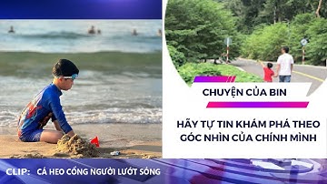 Cá heo cổng người lướt sóng tốc độ