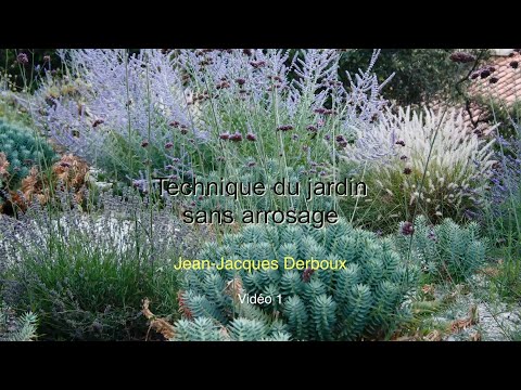 Vidéo: Utiliser le Xeriscaping pour un jardin économe en eau