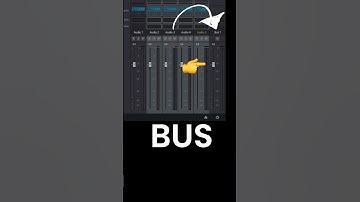 Use BUSES to Master Your Audio - Davinci Resolve