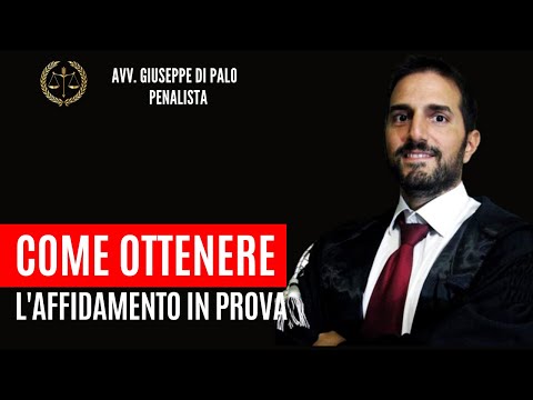 Video: Come Ottenere L'affidamento E La Tutela