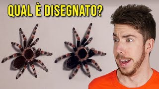 UNO È UN DISEGNO! QUALE? UNO È UN DISEGNO! QUALE?