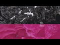 Breaking English (Album Stream)