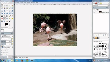 Remove date from photo - GIMP
