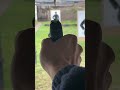 Taurus g3 9x19 guns taurus shooting 9mm pistol handgun