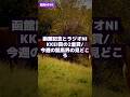 【競馬NEWS】2026年6月22日 函館記念とラジオNIKKEI賞の2重賞/今週の競馬界の見どころ #Shorts