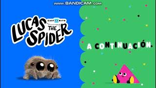 Cartoonito LA- A Continuación- La araña lucas