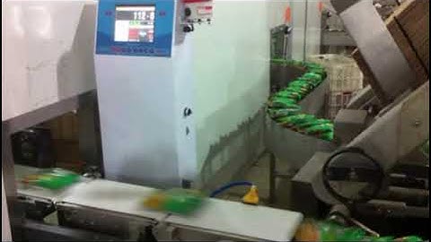 Instant noodles automatic weighing and sorting equipment