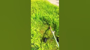 smart tool to clean weeds easily #shorts