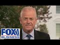 Peter Navarro claims a Biden win would cause depression, job loss