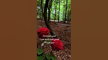 [ إن الله وملائكته يصلون على النبي ] - تلاوة قصيرة من سورة الأحزاب - القارئ ياسر الدوسري- يوم الجمعة