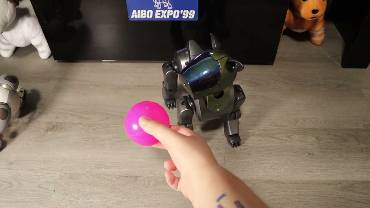 Sony AIBO ERS-210 Repair Before & After
