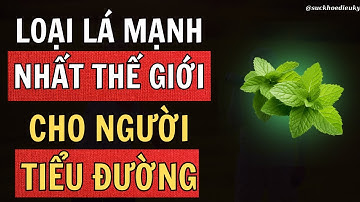 PHÉP LẠ! 1 Lá TIÊU DIỆT BỆNH TIỂU ĐƯỜNG, Cholesterol xấu và BỤNG MỠ! | Sức khỏe người cao tuổi