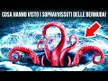 Relitti e mostri marini: Svelare l'enigma del Triangolo delle Bermuda!