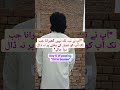 day 6 🤣 `#BZU #BZUMultan #BZUVibes #BZULife #CampusAesthetic #Multan #UniversityLife`
