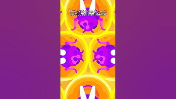 Ong KHÔNG xây tổ hình lục giác!