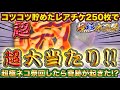 【スマホ版実況】コツコツ貯めたレアチケット250枚で超極ネコ祭250回ガチャしたらまさかの超激レア祭り！？【にゃんこ大戦争】